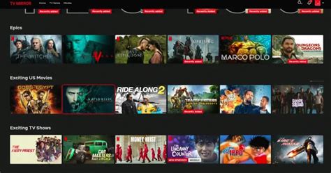 Image result for Netmirror Features