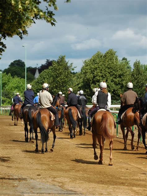 Eclipse Veterinary Software