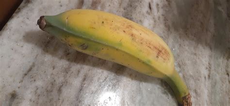 Image result for Blue Java App