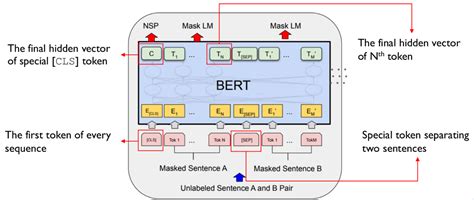 Encoder/Decoder Bert GPT 的图像结果
