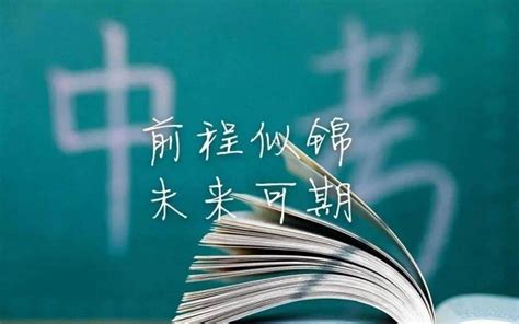 河北邢台2023年上半年高中学业水平合格性考试成绩查询入口（已开通）