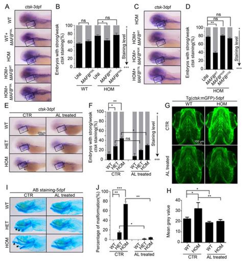 Biomolecules | Special Issue : Fish as Simple Models for Human Disease ...