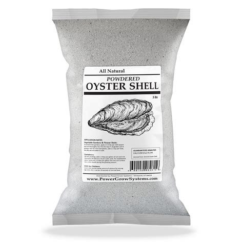 Can Dogs Eat Oyster Shells