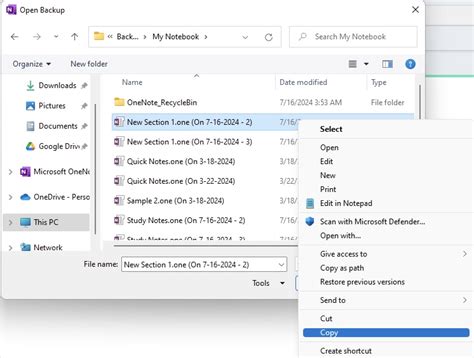 Image result for How Does It Look OneNote Files in Windows 11
