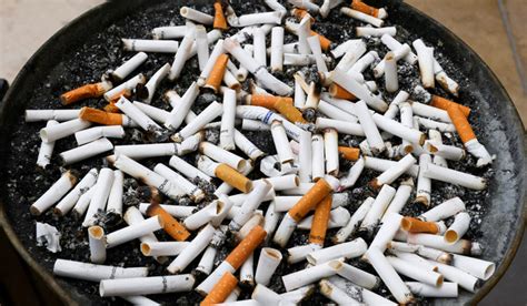 New Zealand’s reversal of smoking ban a setback for public health, say ...