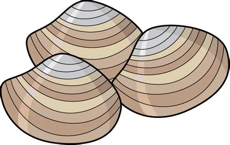 Free Clams Cliparts, Download Free Clams Cliparts png images, Free ...