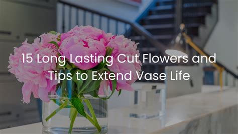 15 Long Lasting Cut Flowers and Tips to Extend Vase Life – Ottawa ...