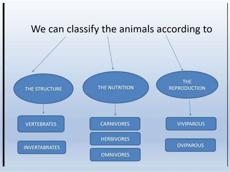 Why Is Classification of Animals Needed 的图像结果