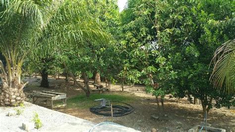 MAKAMBO VILLAGE RESORT (Makeni) - Resort Reviews & Photos - Tripadvisor