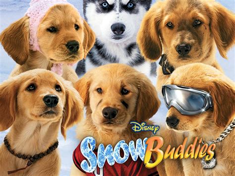 Snow Buddies Cast