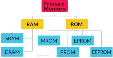 Primary Memory 的图像结果