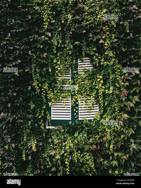 Man versus nature Stock Photo - Alamy