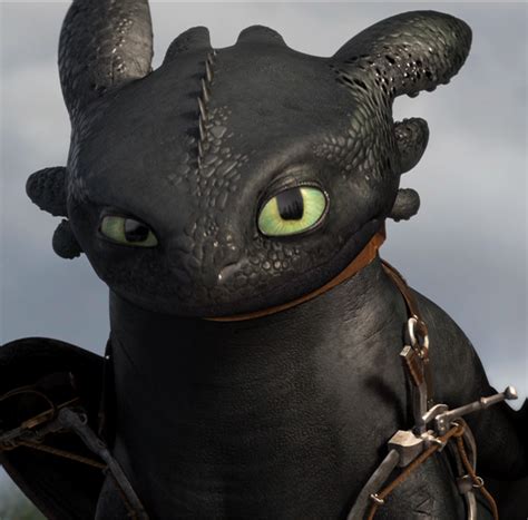 Image result for Toothless vs Sound Less