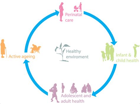 Image result for Life Cycle Approach