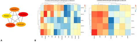Inflammatory Crosstalk Between Type 2 Diabetes and Sarcopenia: Insights ...