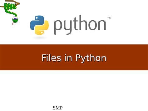 Image result for Binary Files in Python