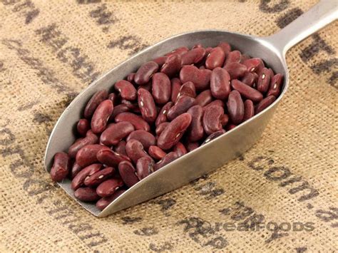 Organic Red Kidney Beans from Real Foods Buy Bulk Wholesale Online