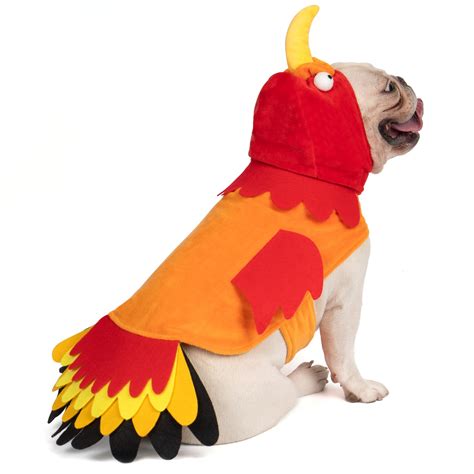 Amazon.com : cyeollo Dog Turkey Costume Cute Funny Thanksgiving Dog ...
