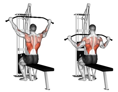 Lat Pulldown With Dumbbell