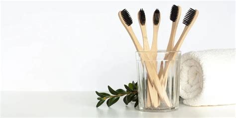 Bamboo Toothbrush - Natural Bamboo Tooth Brush Manufacturer from Jaipur
