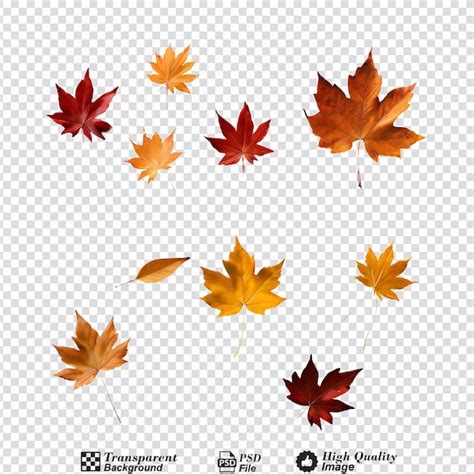 Autumn fall leaves isolated on transparent background | Premium AI ...