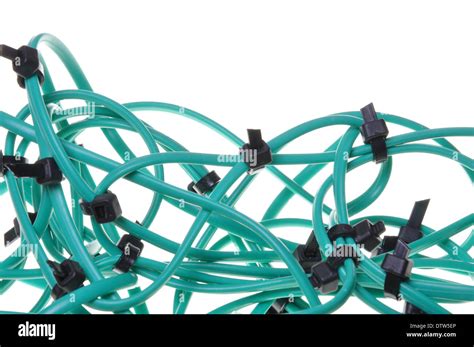 Image result for The Internet