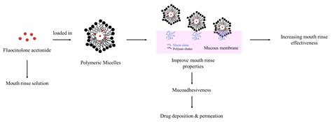 Polymeric Micelles Enhance Mucosal Contact Time and Deposition of ...