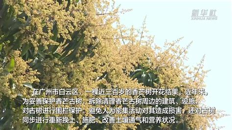 《花繁叶茂》剧照曝光 白一弘精准演绎扶贫书记_凤凰网