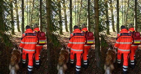 Waffenbrunn: Rettungshundecasting – Wer hat das Zeug zum Rettungshund ...