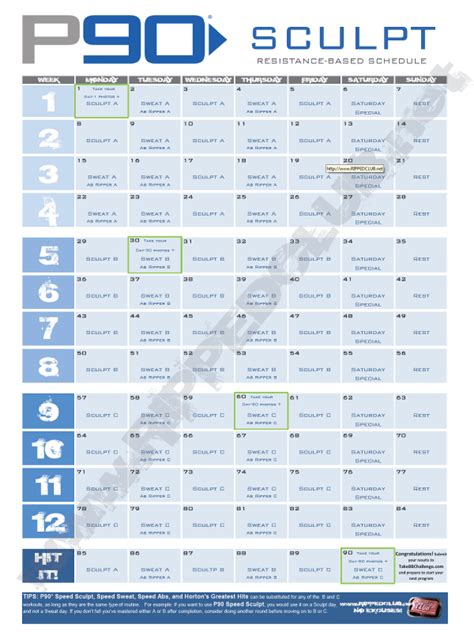 P90x Plus Workout Schedule Pdf | EOUA Blog