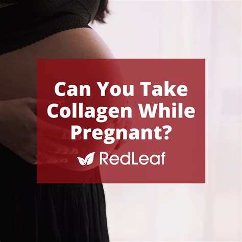 Can You Take Collagen While Pregnant? - Red Leaf Nutrition