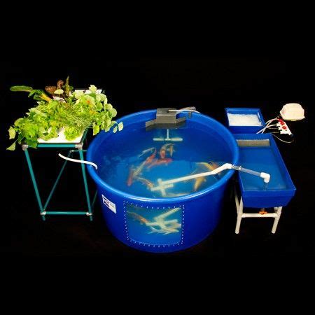 Small Fish Farm 的图像结果