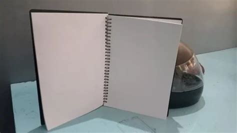 100 Page Notebook 的图像结果