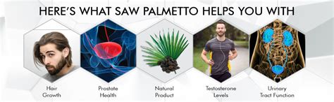 Buy GOODLIFE Saw Palmetto Capsules - 60 Saw Palmetto Supplements for ...