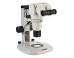 Understanding Microscopes and Objectives | Edmund Optics