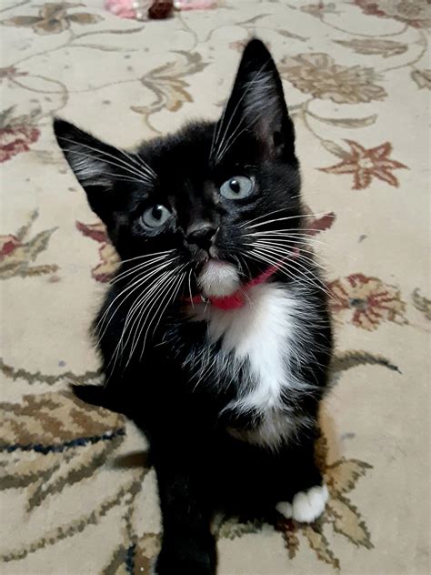 Image result for Patsy Houlihan