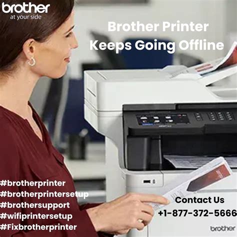 +1-877-372-5666 | Why Is My Brother Printer Not Connecting To My ...