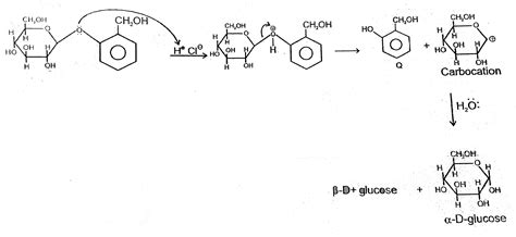 Giving one example of each of : (i) addition polymers (ii) condensation ...