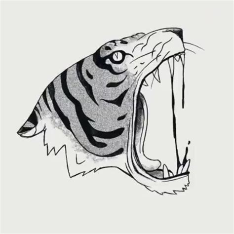 Image result for Basic Animation Tutorial