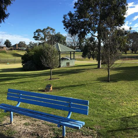 LIONS PARK - All You Need to Know BEFORE You Go 2026 (with Photos ...