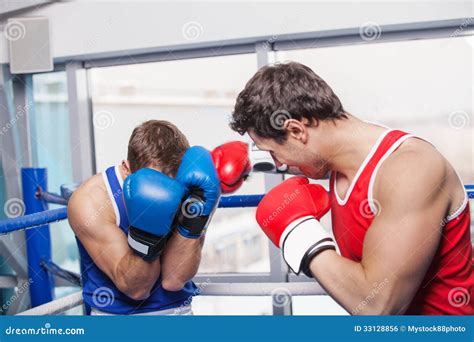 Two Men Boxing Stock Image 的图像结果