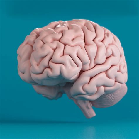 Image result for Brain Machine Learning Vector