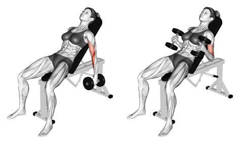 Incline Hammer Curls: Benefits, Muscles Worked, and More - Inspire US