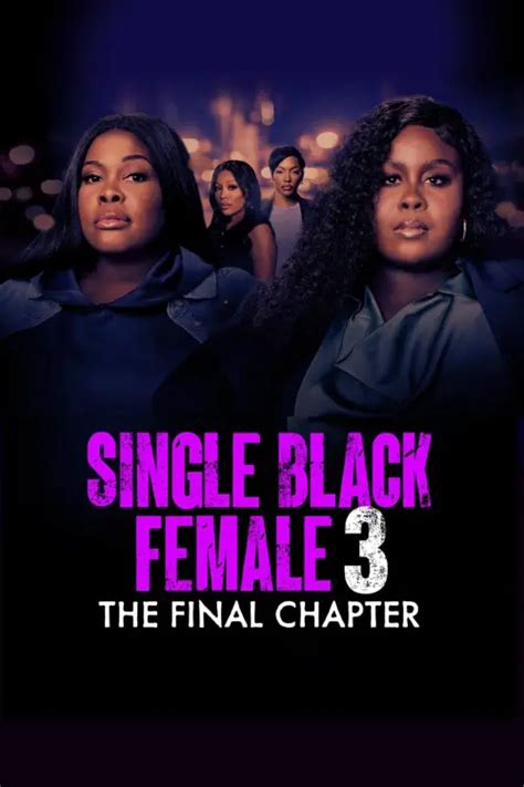 Film «Single Black Female 3: The Final Chapter» 2025 — ACMODASI