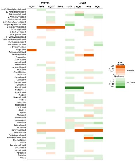 Antifungal Activity of Disalt of Epipyrone A from Epicoccum nigrum ...