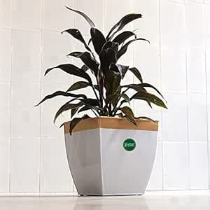Urban Plant Jumbo Titan Metal Planter | Balcony Patio Plant Pot ...