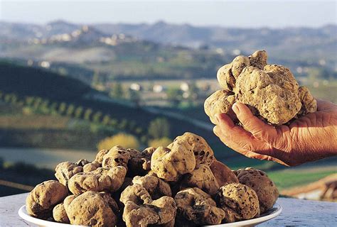 The Foodie Guide to Italian Truffles | ITALY Magazine