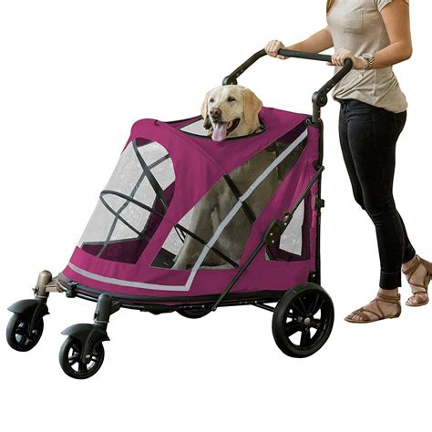 7 Pet Gear Dog Stroller 2022: Buyer’s Guide To Choose Best Model – The ...