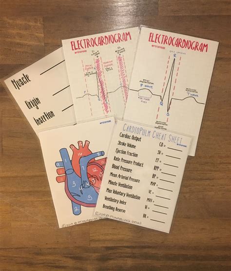 Flashcards For Anatomy And Physiology 1 Ankimobile Ios Free Flashcard ...