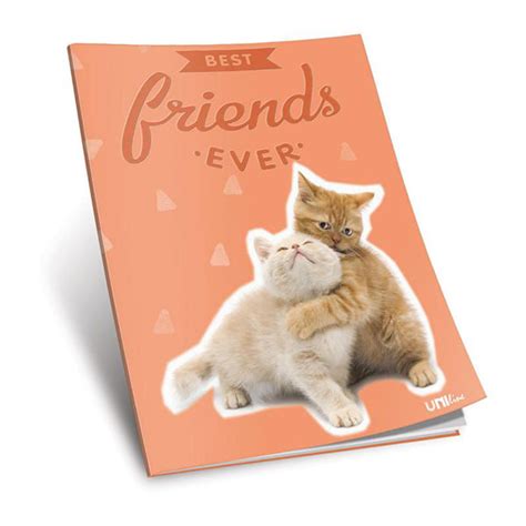 Sveska Best friends forever A4 meki povez na kockice UNL-0741k | Volim ...